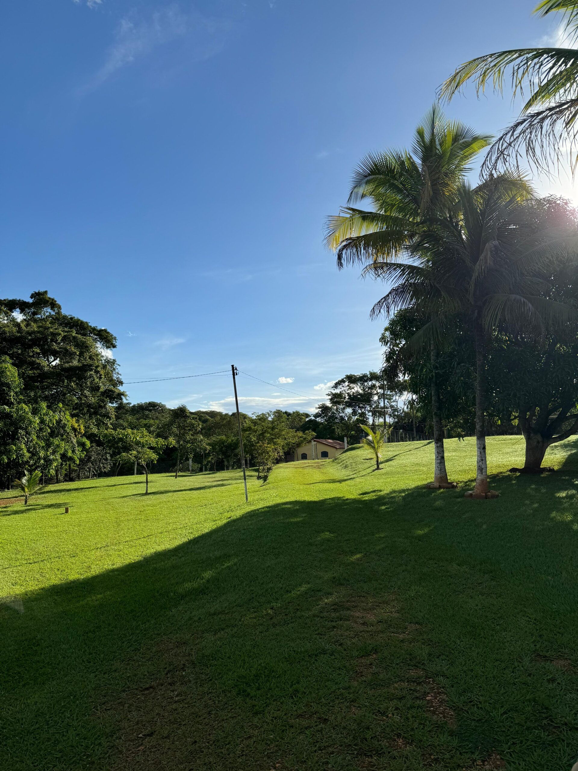 chacara aparecida de goiania-10 - Copia - Copia