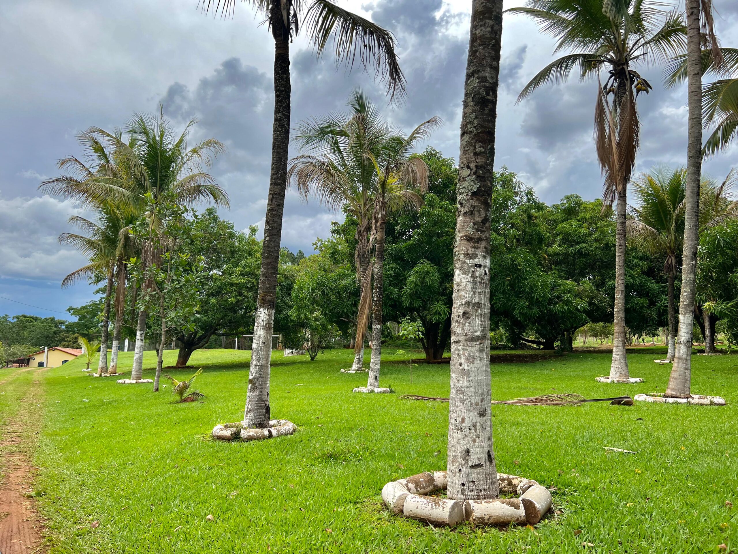 chacara aparecida de goiania-15 - Copia - Copia