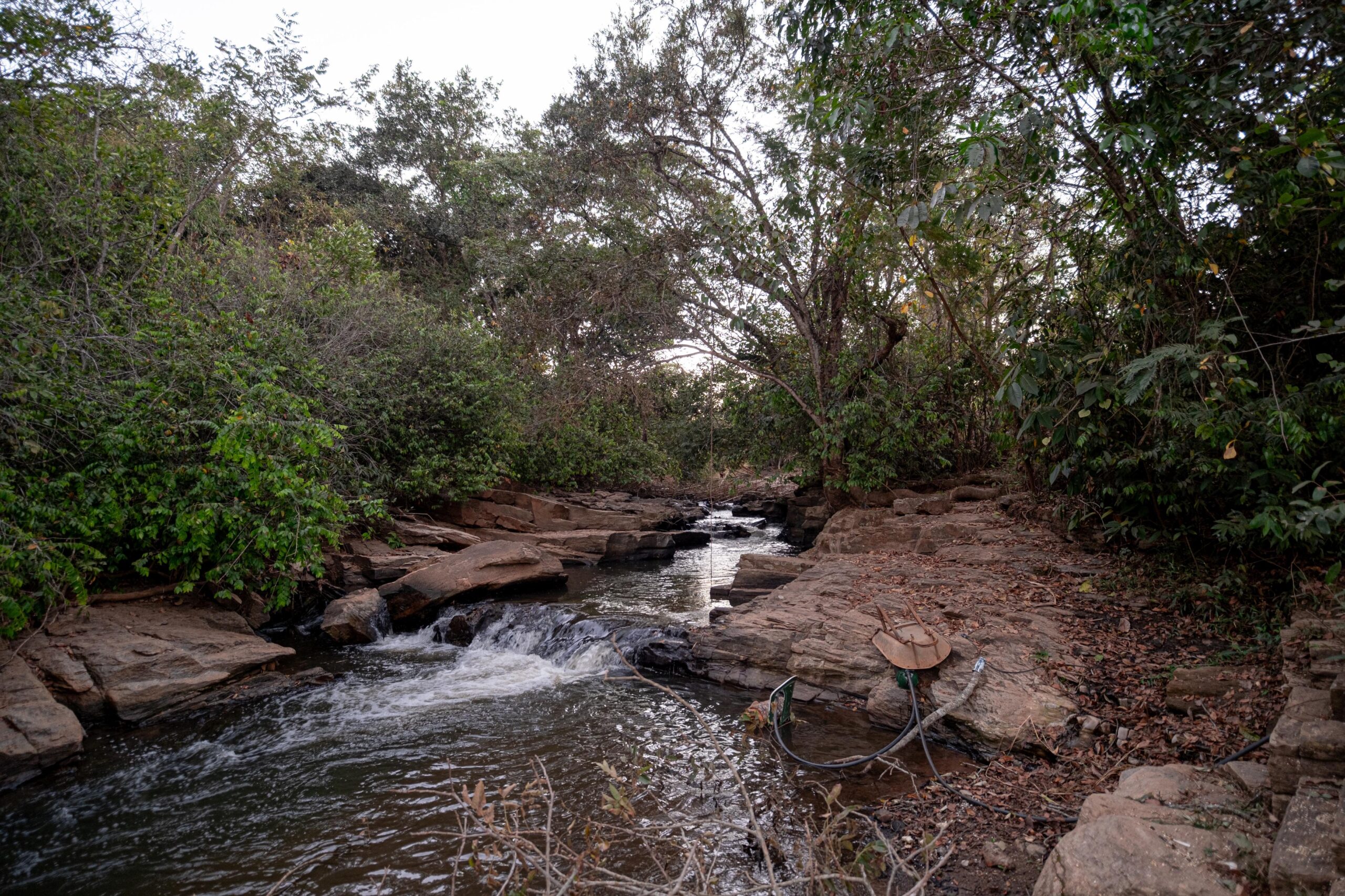 chacara aparecida de goiania-6 - Copia