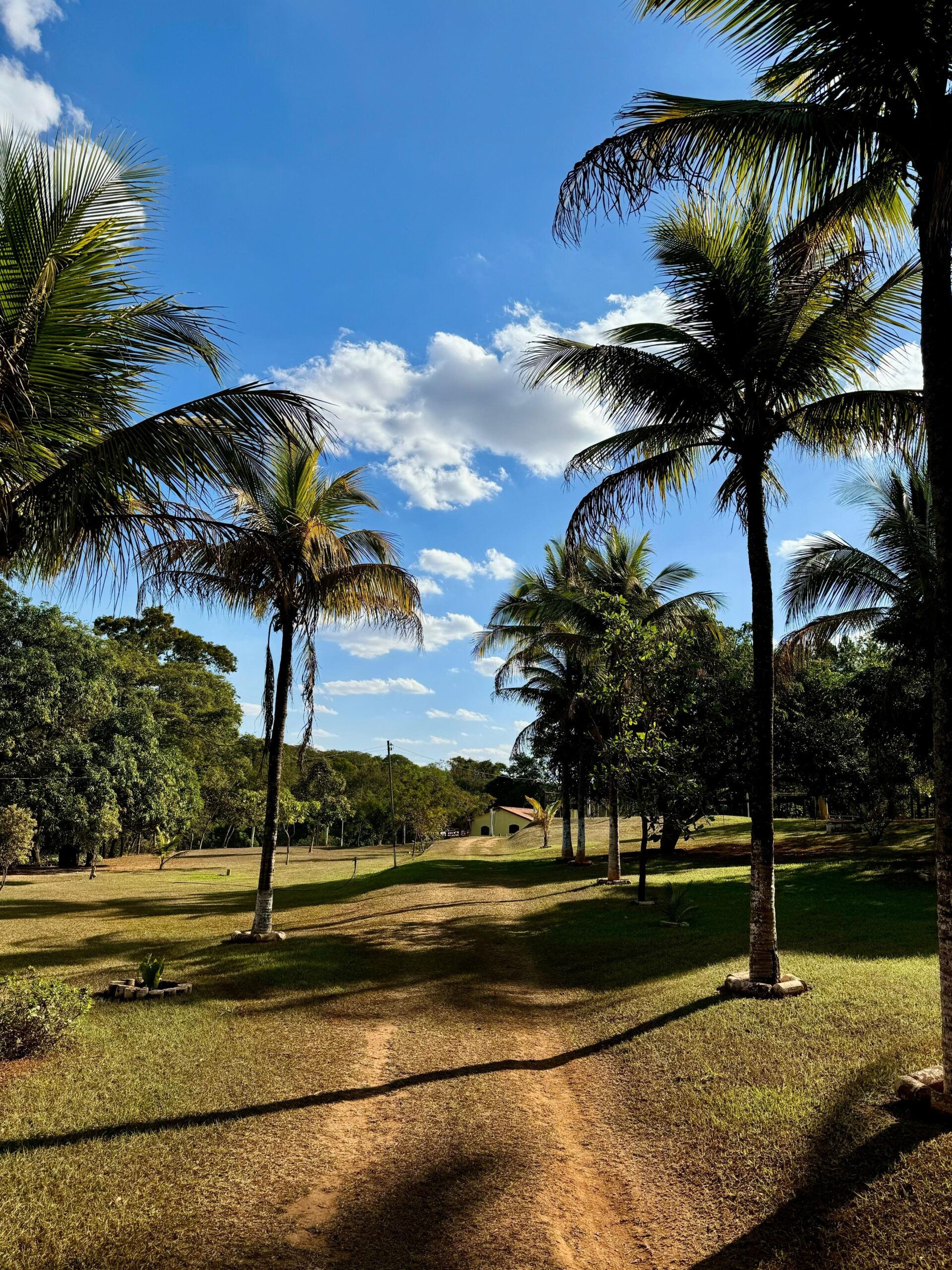 chacara aparecida de goiania-7 - Copia